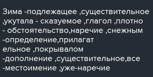 Синтаксический разбор Зима уже плотно укутала все снежным покрывалом