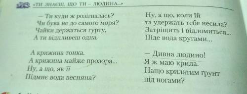 Чайка на крижині Випишіть,5 - епітетів,