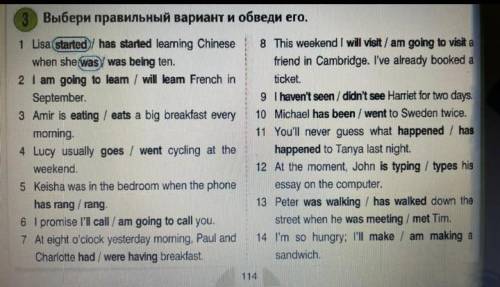 Выбери правильный вариант и обведи его, 1 Lisa started / has started learning Chinese when she was w