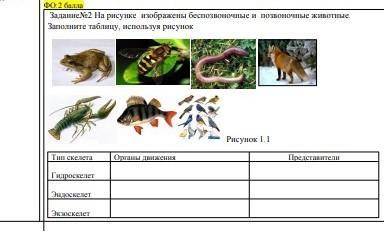 На рисунке изображены беспозвоночные и позвоночные животные заполни таблицу используя рисунки​ по ес