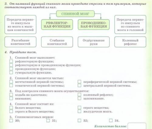 Сдавать через 20 минут.