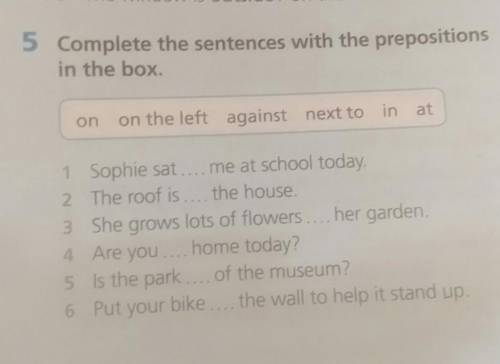 5 Complete the sentences with the prepositions in the box.onon the left against next to in at1 Sophi