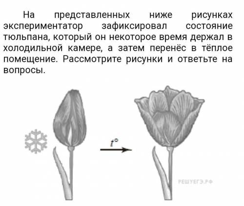 Как называется общее свойство организмов которое демонстрирует этот опыт​