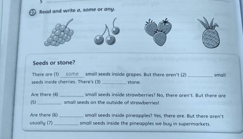 Seeds or stone? abore There are (1) some small seeds inside grapes. But there aren't (2) seeds insid