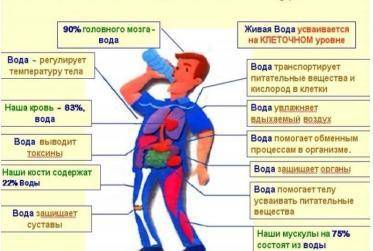 1. Опираясь на предложенный несплошной текст, определите проблему дискуссии. 2. Примите участие в ди