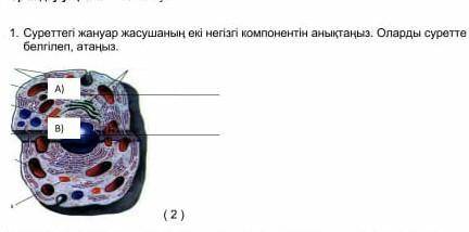 Комектесындерш отыныш отрык нарсе жазбандаршы кудай ушын​