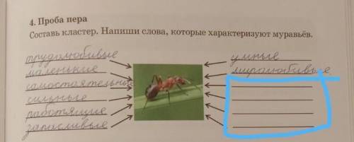 4. Проба пераСоставь кластер. Напиши слова, которые характеризуют муравьёв.​
