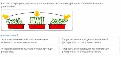 Установите соответствие между органами выделения и представителями беспозвоночных и позвоночных