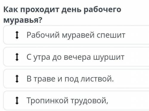 Как проходит день рабочего муровья? можете прислать фото?​