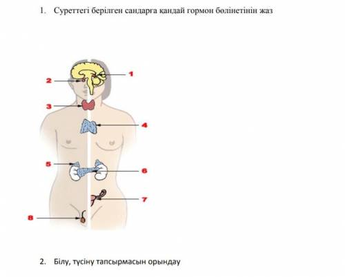 Істеп беріңдерші, берем​