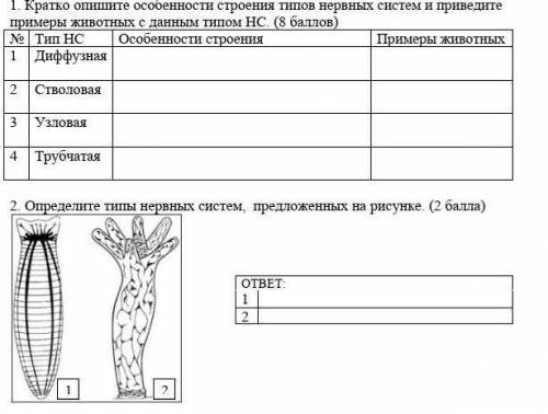 кратко опишите особенности строения типов нервных систем и приведите примеров животных с данным типо