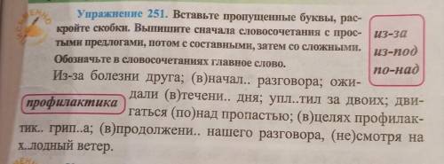 Упражненне 251. Вставьте пропущенные буквы, рас- кройте скобки. Выпишите сначала словосочетания с пр