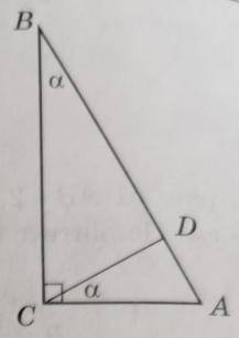 На рис. 64 ∠ACB = 90°, ∠B = ∠ACD = а. Назовите треугольники, подобные треугольнику ABC, и докажите и