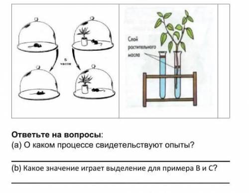 Задания 2. Ученики провели эксперименты, ответьте на вопросы:(а) О каком процессе свидетельствуют оп