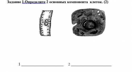 Задание 1.Определите 2 основных компонента клеток. (2)