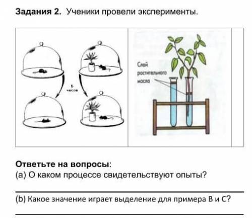 ответьте на вопросы:(а) О каком процессе свидетельствуют опыты?(b) Какое значение играет выделение д