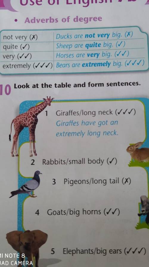 Look at the table and form sentences. 101 Giraffes/long neck (VVV)Giraffes have got anextremely long