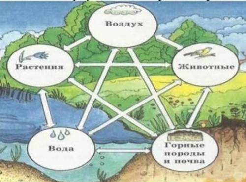 Объясните круговорот веществ в биосфере, используя данную схему. ​