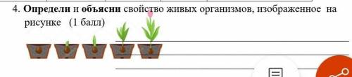 4. Определи и объясни свойство живых организмов, изображенное на рисунке ( ) ​