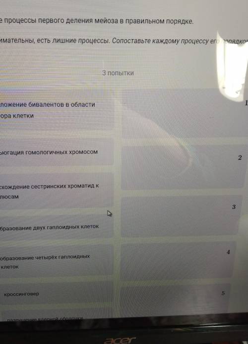 Расставьте процессы первого деления мейоза в правильном порядке.​Будьте внимательны, есть лишние про
