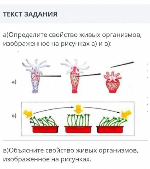 а) определите свойства живых организмов изображенное на рисунках а) и в) ; в) объясните свойства жив