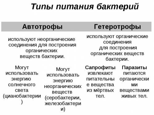 Сор по естествознанию 3 четверть 6 класс онлайн мектеп​