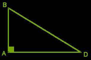 Одна сторона, которая образует прямой угол прямоугольного треугольника ABD, равна 6 см, другая сторо