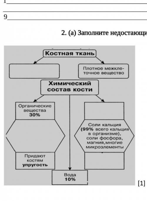 Заполните недостающие части схемы химического состава костей ​