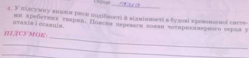 Вкажи риси подібності і відмінності в будові кровоносної системи хребетних тварин поясни переваги по