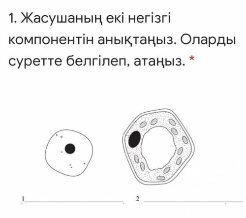 Определите два основных компонента клетки