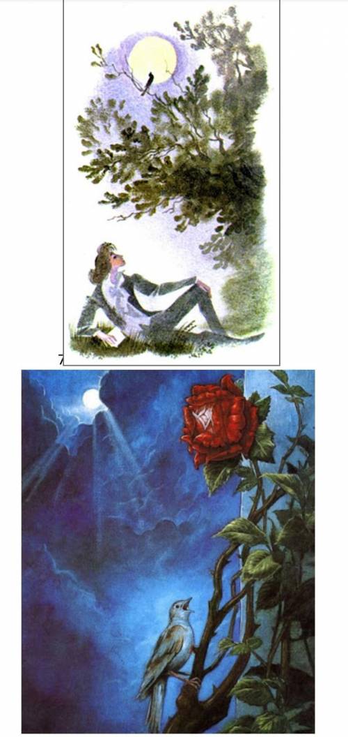 Рассмотрите иллюстрации к произведению О. Уайльда «Соловей и роза». Напишите развернутый ответ на во