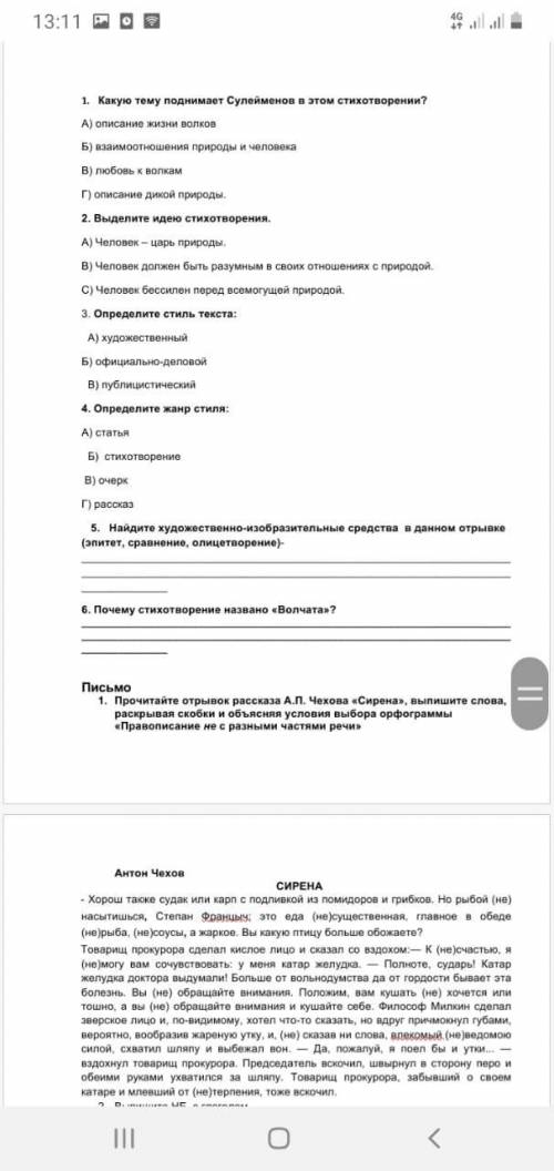 Русский язык СОР 8 класс 3 четверть