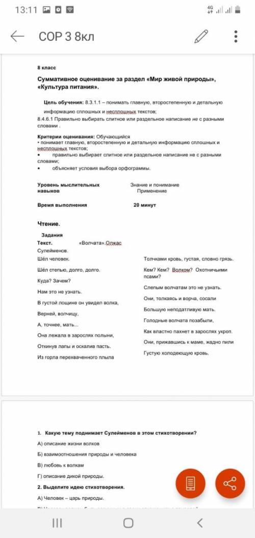 Русский язык СОР 8 класс 3 четверть