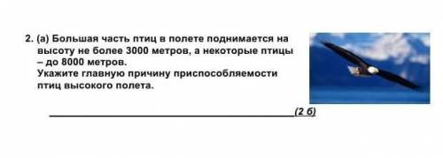 Большая часть птиц в полете поднимается на высоту не более 3000 метров,а некоторые птицы до 8000 мет