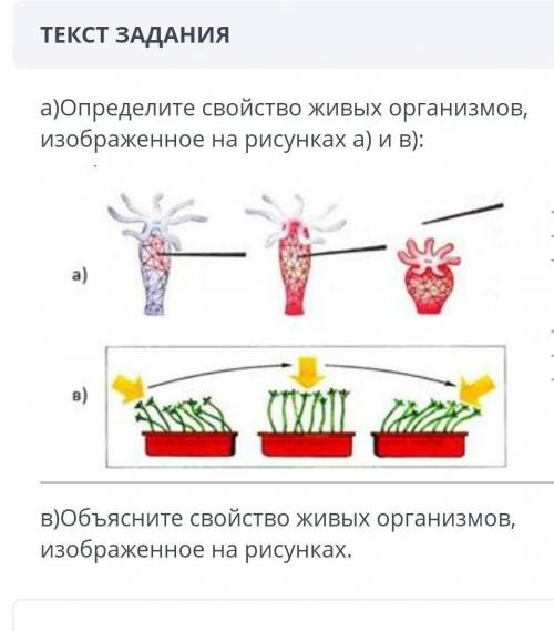 А)Определите свойство живых организмов, изображенное на рисунках а) и В):а)UNTв) объясните свойство