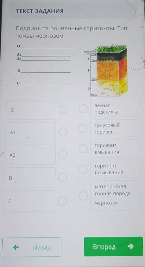 Подпишите почвенные горизонты тип почвы чернозем