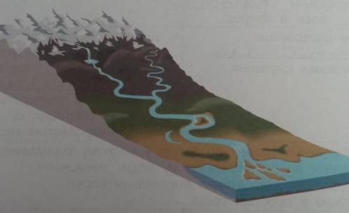 Познач на рисунку елементи річкової системи.​