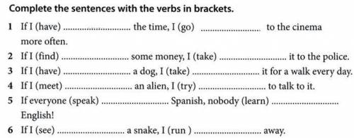 Second conditional. Complete the sentences with the verbs in brackets.