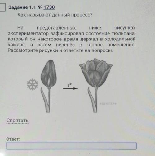 проверочная по биологии ​