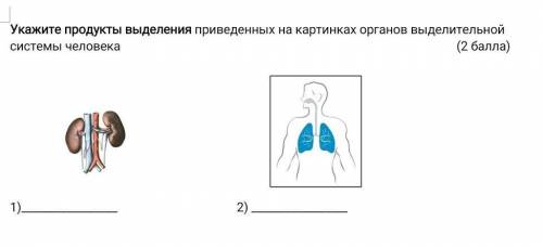 Укажите продукты выделения приведенных на картинках органов выделительной системы человека ( ) ​