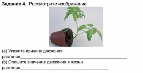 Задание 4. Рассмотрите изображение (a) Укажите причину движения растения(b) Опишите значение движени