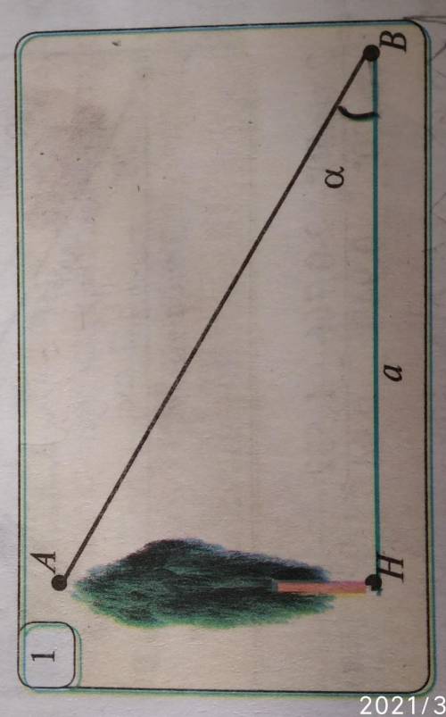 Вычислите высоту дерева на рис.1, если а=12м, альфа=42°.​