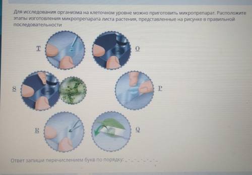 ТЕКСТ ЗАДАНИЯ Для исследования организма на клеточном уровне можно приготовить микропрепарат. Распол