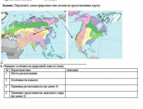 Задание. Определите, какая природная зона указана на представленных картах А. Б. Опишите особенности