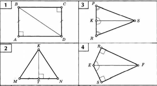 Найдите пары рвных треугольников и докажите их равнство​
