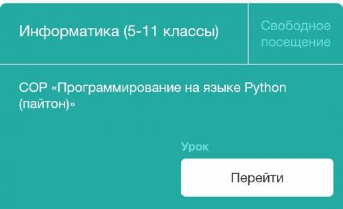 Программирование на языке пайтон СОР 6 класс люди кто э то решал дайте правильный ответы