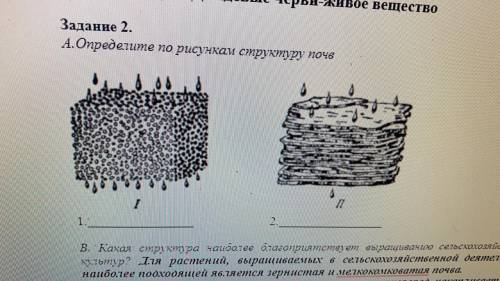 Определите по рисункам структуру почв