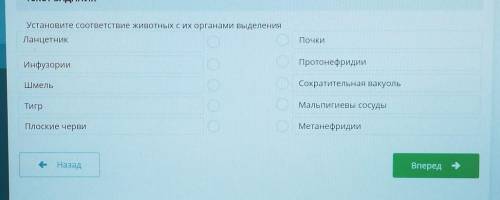 Установите соответствие животных с их органами выделения ЛанцетникПочкиИнфузорииПротонефридииШмельСо