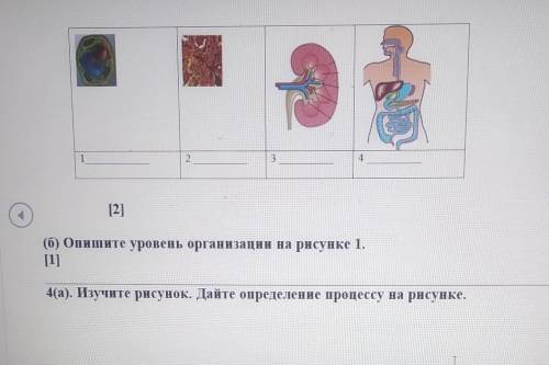 с сором по естество мне нужно б​