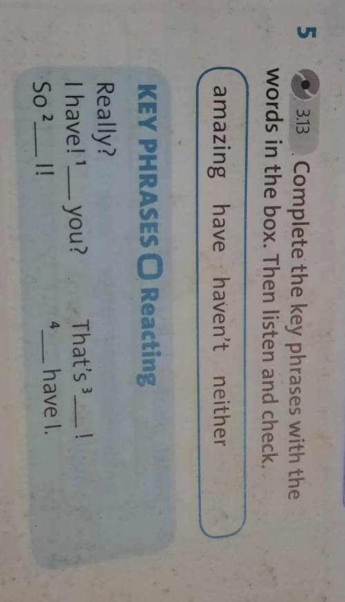 5 3.13 Complete the key phrases with thewords in the box. Then listen and check.amazing have haven't